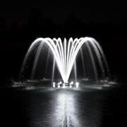 Picture for category Airmax Ecosystems EcoSeries Fountain Lighting