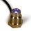 Atlantic Water Gardens Wall Spout Color Changing Light 
