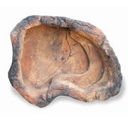 Universal Rock- Rock Pool 014