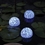 Pond Boss Landscape and Pond LED Floating Accent Lights