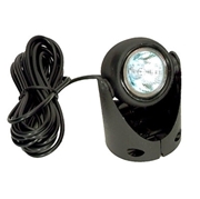 Picture for category Cal Pump EggLites