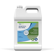 98885_BBacteriaLiquid1G