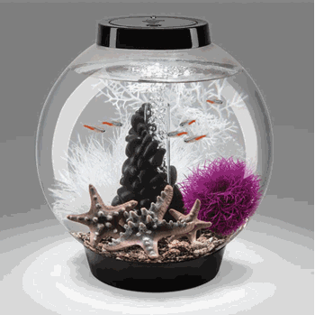 biOrb-CLASSIC-15-Set