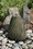 Aquascape Swirly Vase Fountain 18.5" 