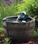 Aquascape Man In Barrel Spitter W/ Pump (Barrel Not Included)