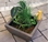 Aquascape Aquatic Patio Pond Kit- Textured Gray Slate w/ Pump & Decor