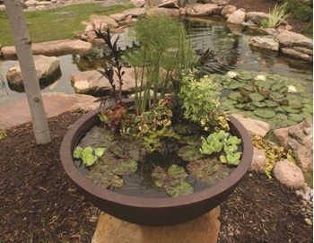 Aquascape Aquatic Patio Pond- 24" European Terra Cotta