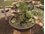 Aquascape Aquatic Patio Pond- 24" European Terra Cotta