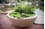 Aquascape Aquatic Patio Pond- 32" Desert Granite