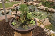 Aquascape Aquatic Patio Pond- 32" European Terra Cotta