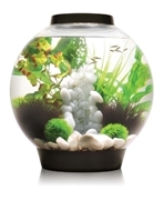 biOrb Classic 30 