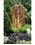 AquaBella Weeping Willow Fountain Tree