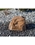 AquaBella Sand River Falls Complete Fountain Kit