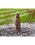 AquaBella Haven Falls Complete Fountain Kit