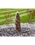 AquaBella Haven Falls Complete Fountain Kit