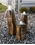 AquaBella Triple Bowled, Polished Top Basalt Fountain Kit