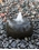 AquaBella Oribu Fountain Kit