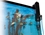 Aqua UV Advantage 2000+ 15 Watt Unit With Hanger Spout