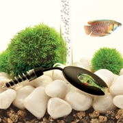 Picture for category biOrb Heating and Lighting