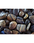 AquaBella Polished Pebbles