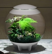 BiOrb Air