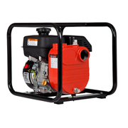 Red Lion 196 CC Cast Iron Multi-Purpose Utility Pump