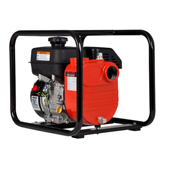 Red Lion 196 CC Cast Iron Multi-Purpose Utility Pump