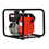 Red Lion 196 CC Cast Iron Multi-Purpose Utility Pump