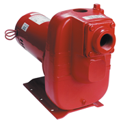  Red Lion 3 HP Cast Iron Industrial Sprinkler Pump 