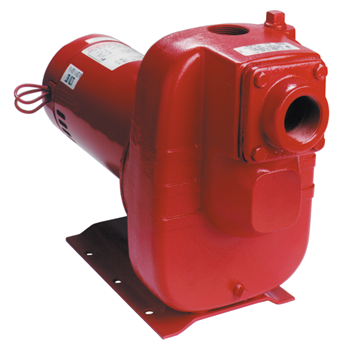  Red Lion 3 HP Cast Iron Industrial Sprinkler Pump 