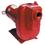  Red Lion 3 HP Cast Iron Industrial Sprinkler Pump 