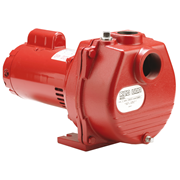 Red Lion 2 HP Centrifugal Self-Priming Sprinkler Pump - BI