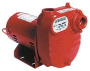 Red Lion Cast Iron Surface Effluent Pump - 1/2 HP