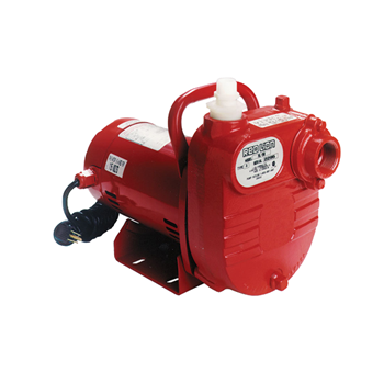 Red Lion Self-Priming Multi-PurposeTransfer Pump