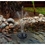 Aquanique-QFUVP-Fountain-B